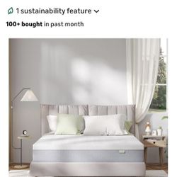 Queen Size Mattress 