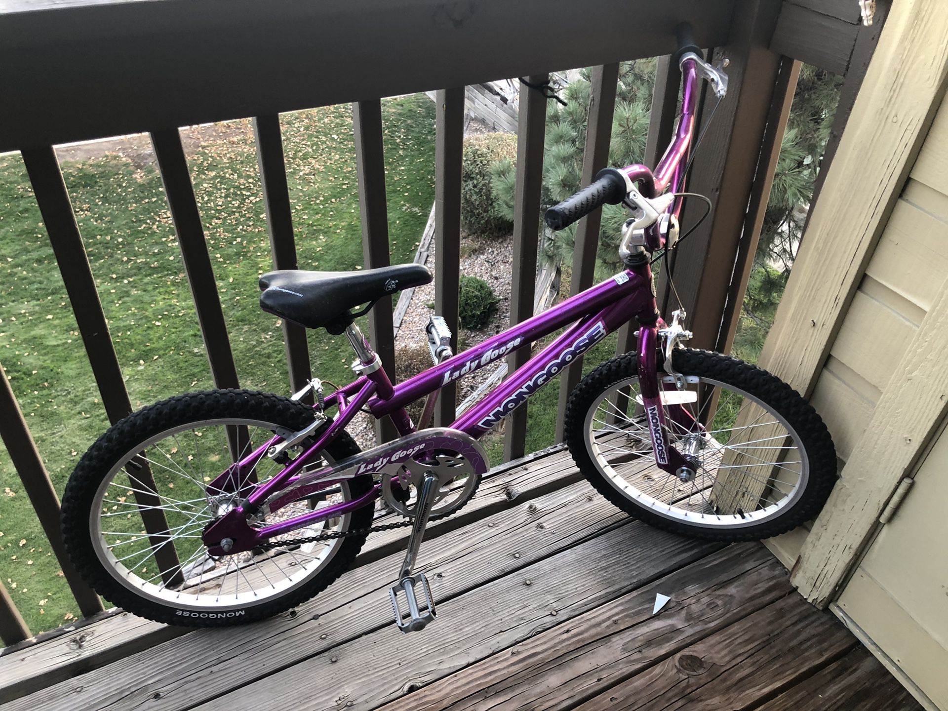 Mongoose 20 inch girl bike