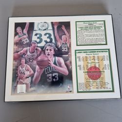 Larry Bird Stats Photo