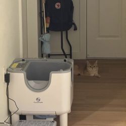 Automatic Litter Box