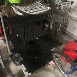 Cat Cage 