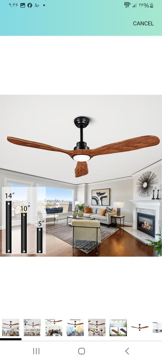 Fan