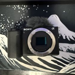 Sony ZVE10