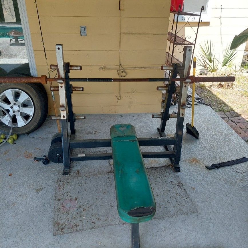 Flex Fitness Olympic Bench Press