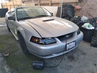 1999 Mustang