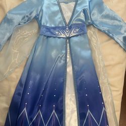 Elsa Costume