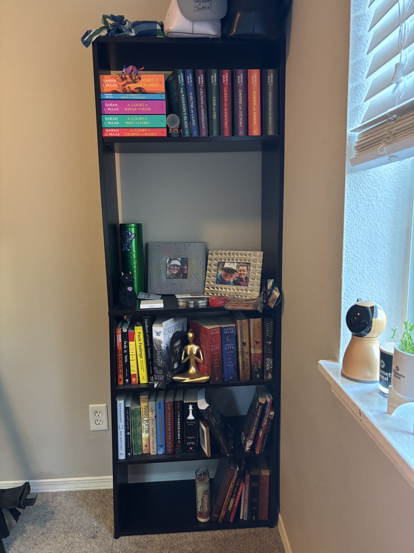 Free Book Shelf 