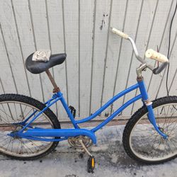 Beach Cruiser