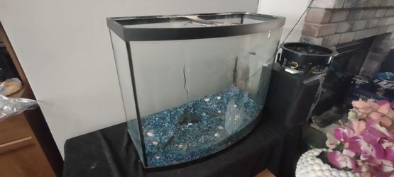 Fish Tank