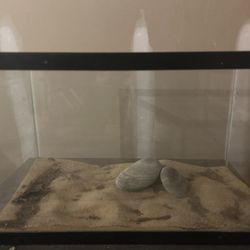 Fish Tanks