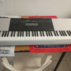 CASIO 152 SONG BANK 305 MUSIC  PRESETS 600 TONES