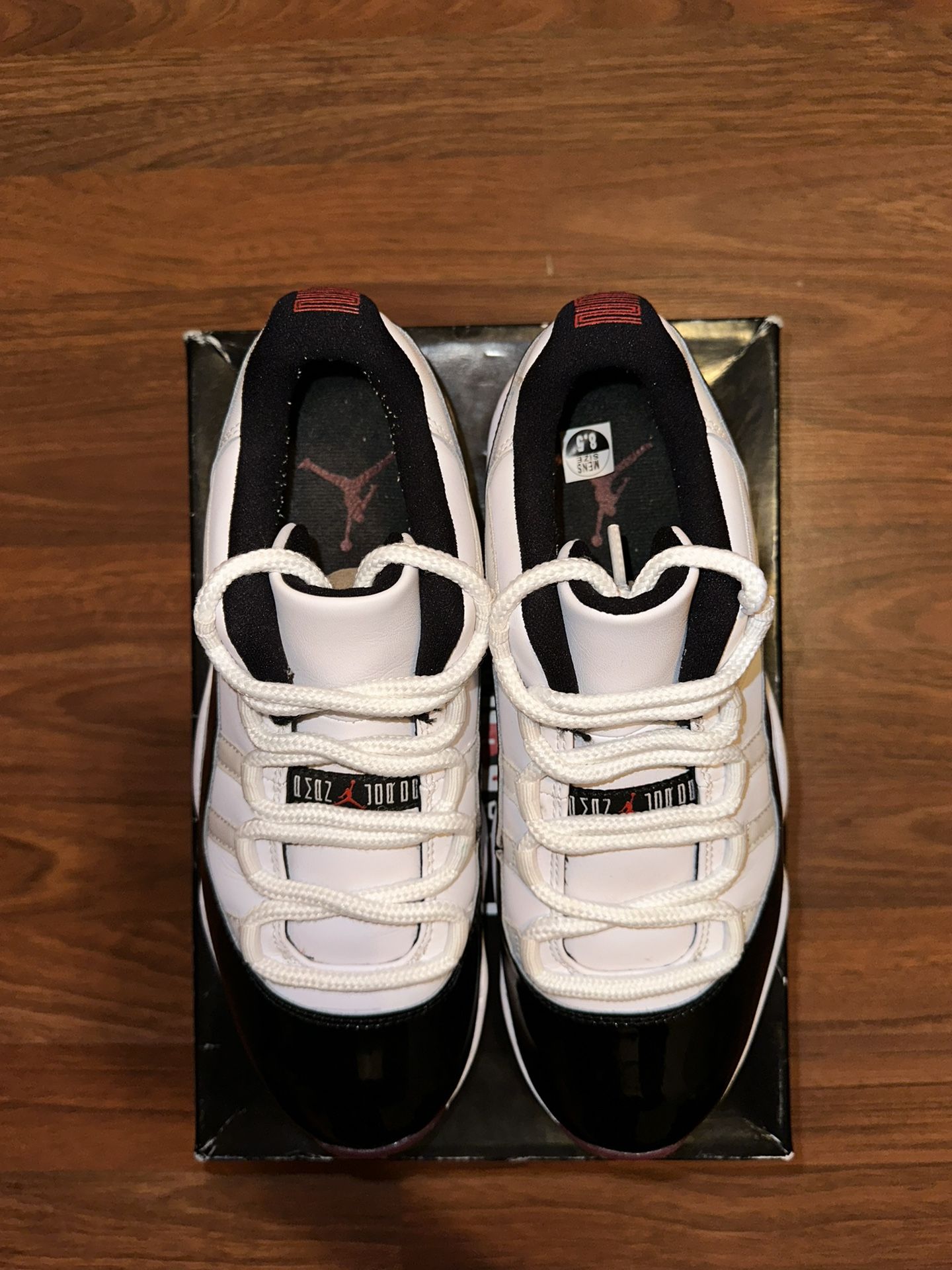 concord bred 11 retail price
