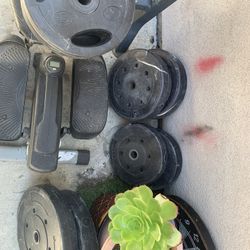Weights + Bench 