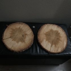 Circle Log Shapes