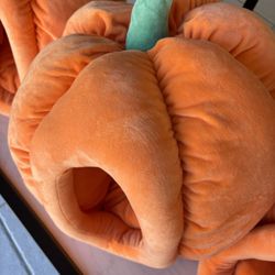 BRAND NEW Pumpkin Pet Beds