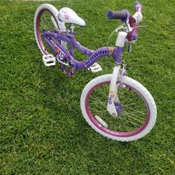 Schwinn radiant Bike 