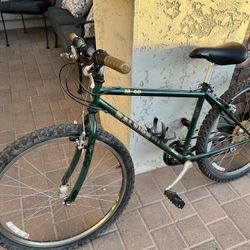Mountain Bike 