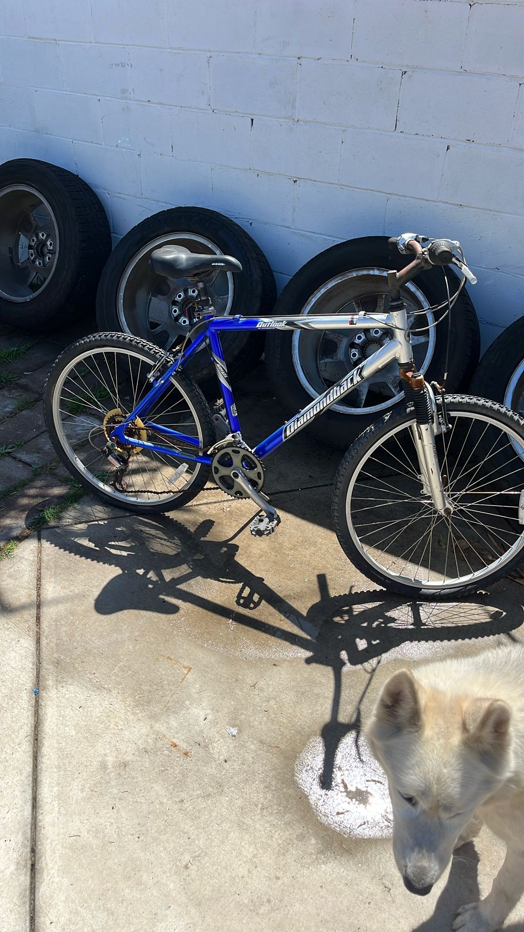 Mountain Bike 26