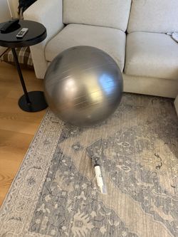 Lightly Used Bosu Exercise Ball With Pump 