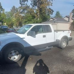 05 Ford F150 Side Step