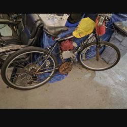 Gas Powered Mountain Bike