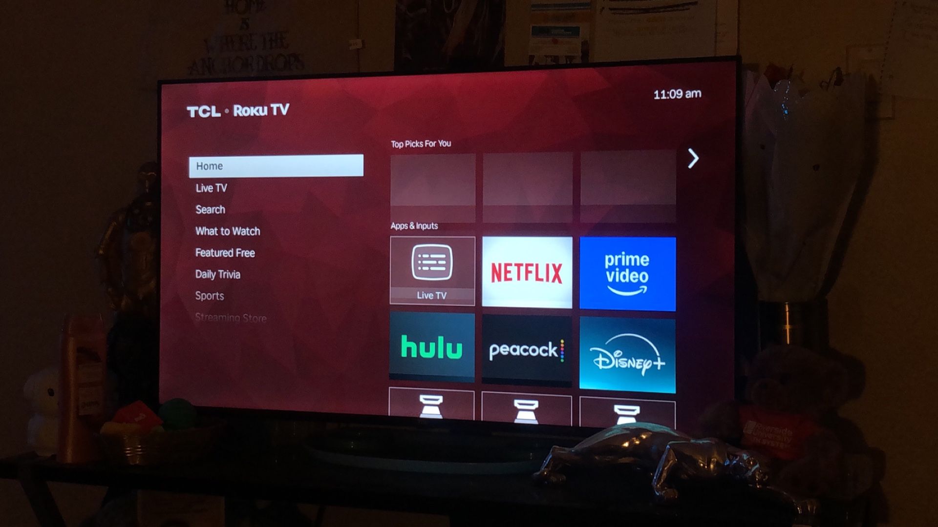 43 Inch TV
