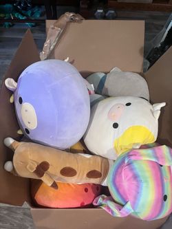 Squishmallow’s Gallore