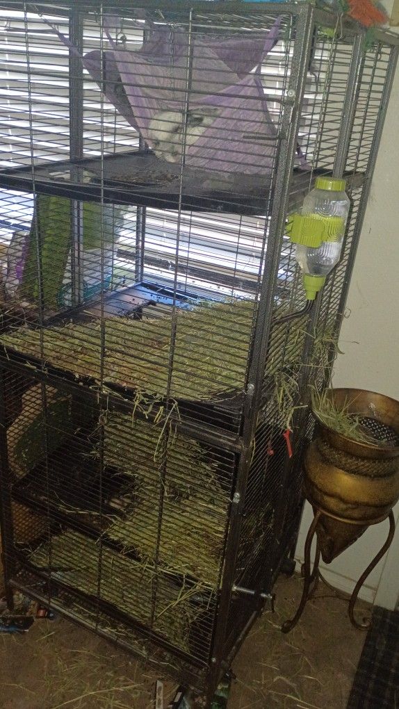Large chinchilla Cage