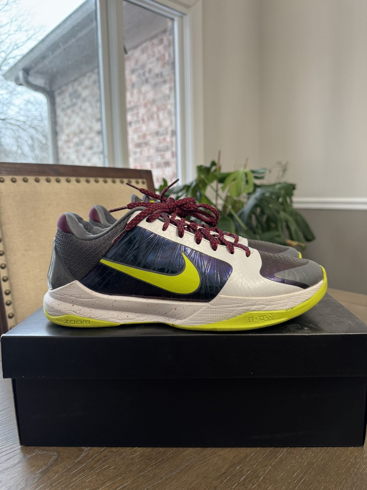 Kobe 5 Protro Chaos Size 11