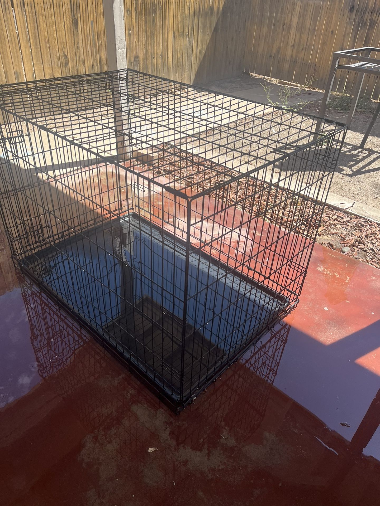 Jaula Grande Para 🐕 Perros