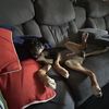 Aidan Soper
