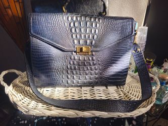 Bramin laptop/briefcase bag