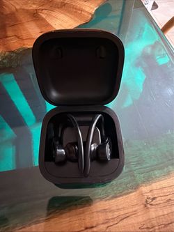 Beats Powerbeats Pro Wireless Earbuds Built-in Microphone Black