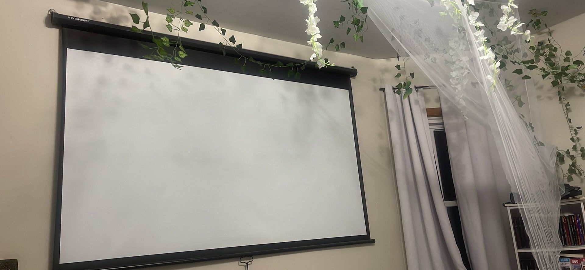 Projector Screen