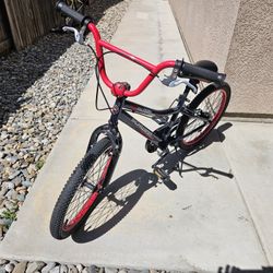 20" Boys SCHWINN Bicycle 