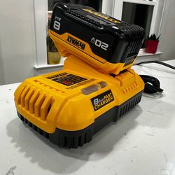 Charger 8amp & battery 8.0Ah