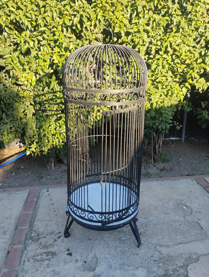 Bird Cage/cage