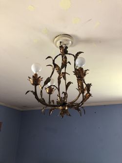 Unique light