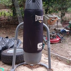 Everlast Punching Bag 
