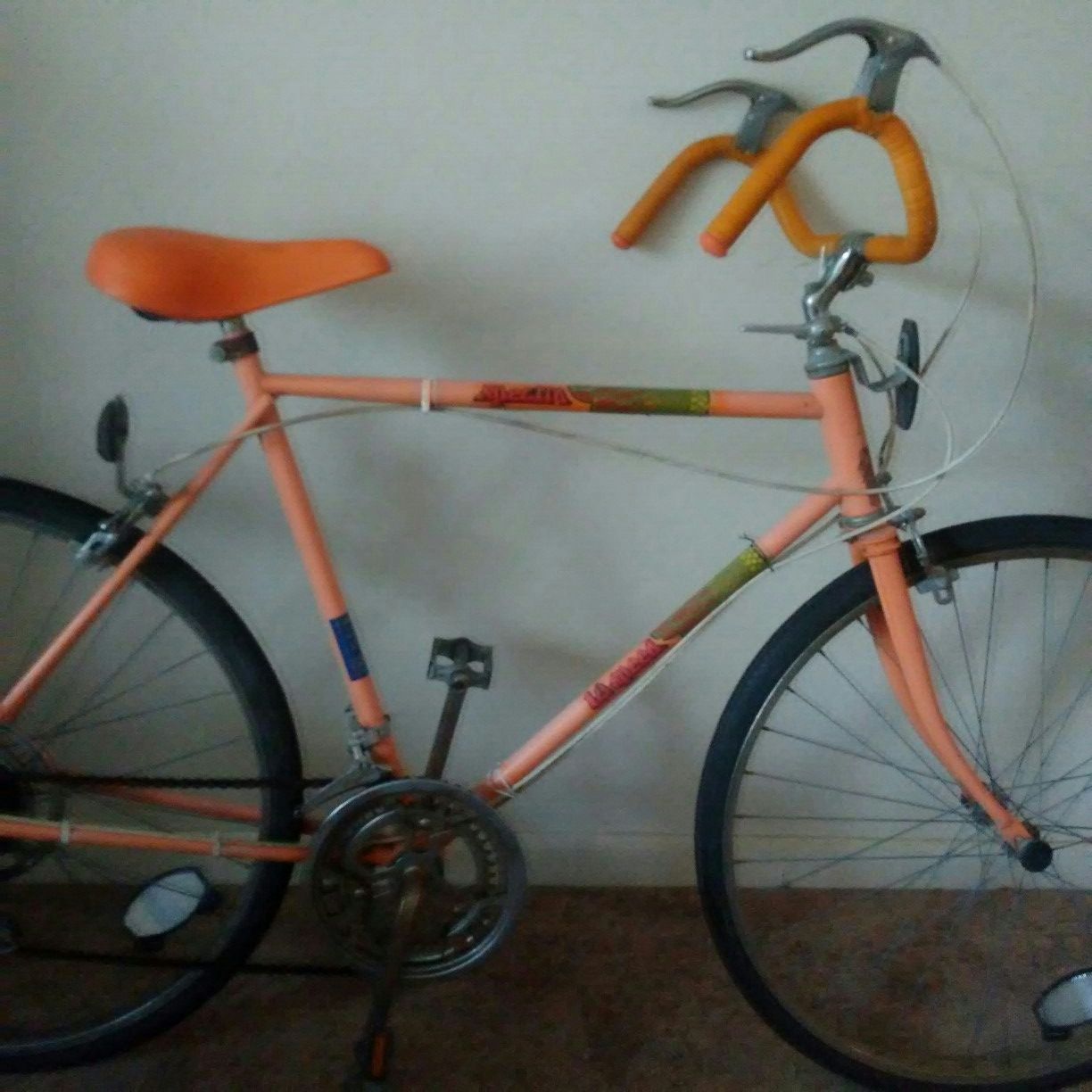 Vintage murray spectra sale 10 speed bike