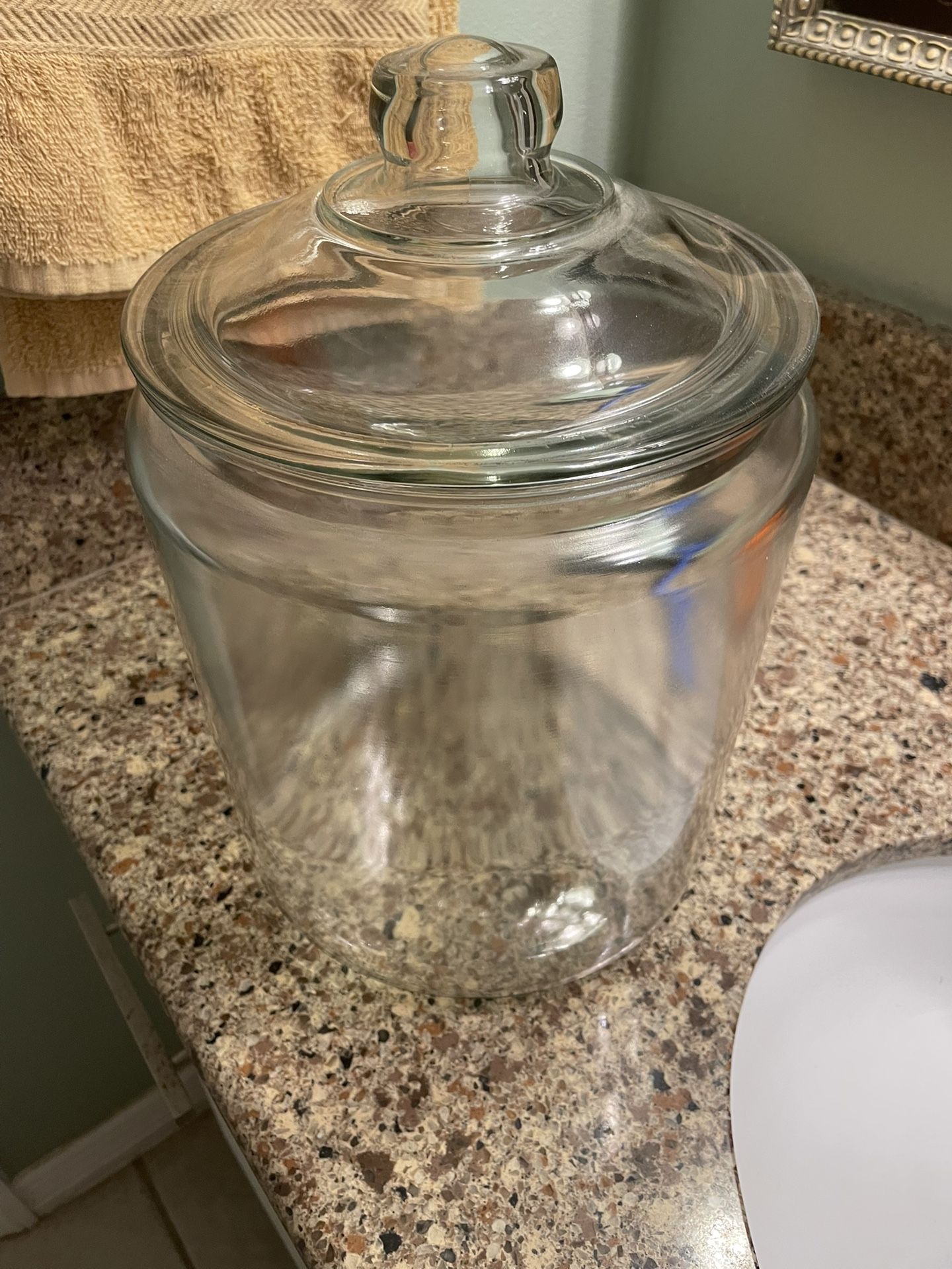 Huge Cookie Jar