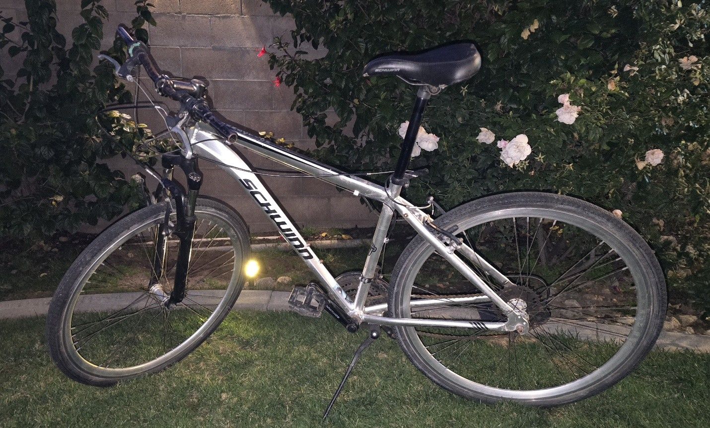 Schwinn Connection. TALL!