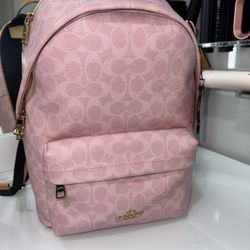 Powder Pink Taylor Small Backpack