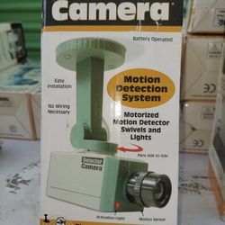 Detector Camera