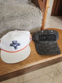 Florida Panthers Hat or caps