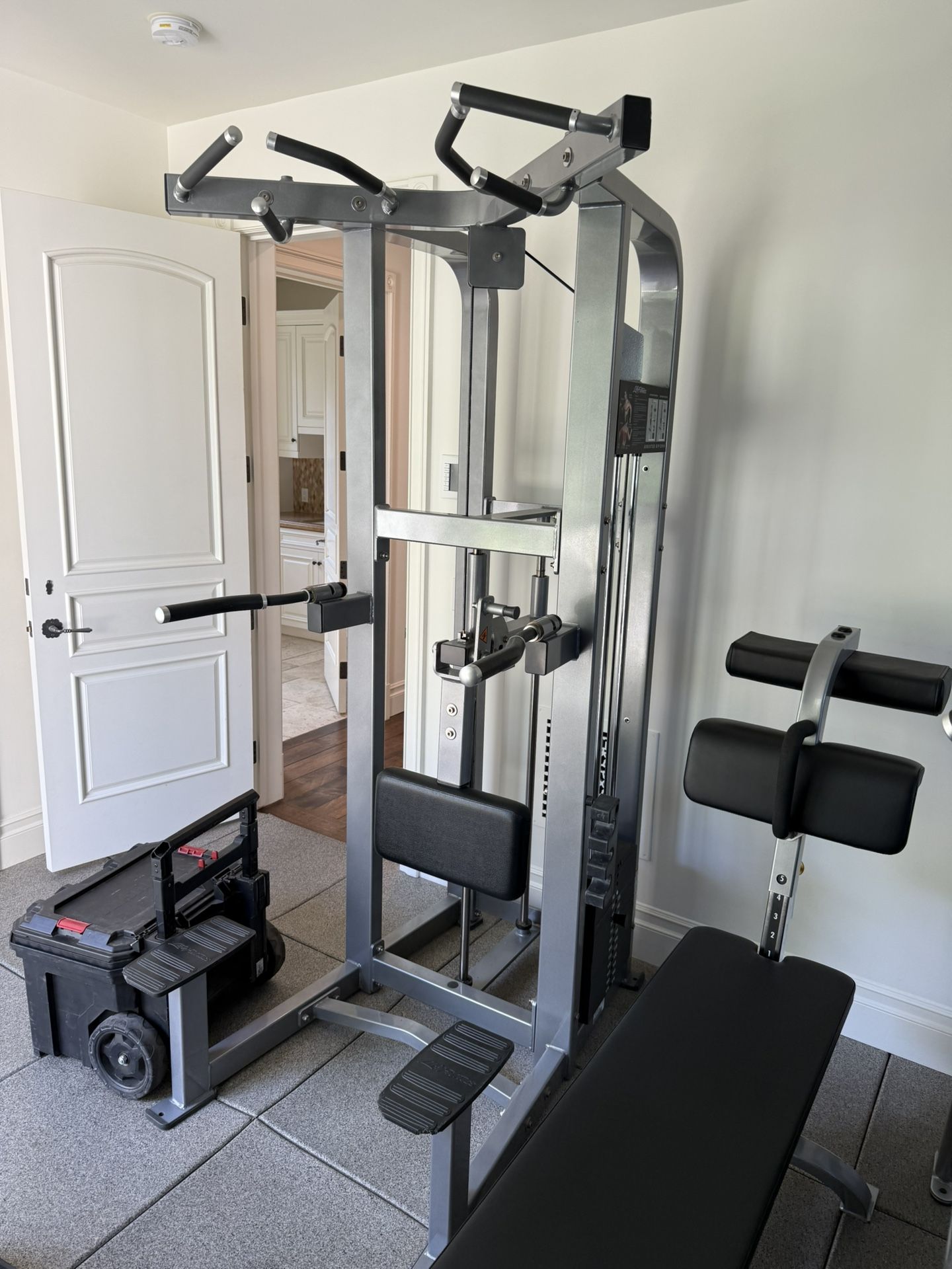 Life Fitness Pro 2 assisted chin dip, assisted pull up machine, Commercial gym equipment. Like new