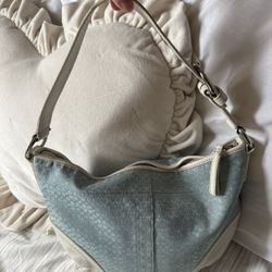 Baby Blue Coach Bag