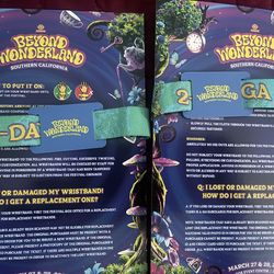 2 Day Beyond Wonderland pass