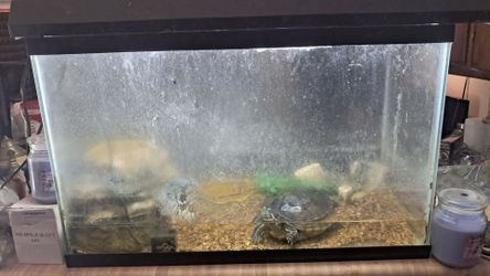 40 gallon with pump top and light