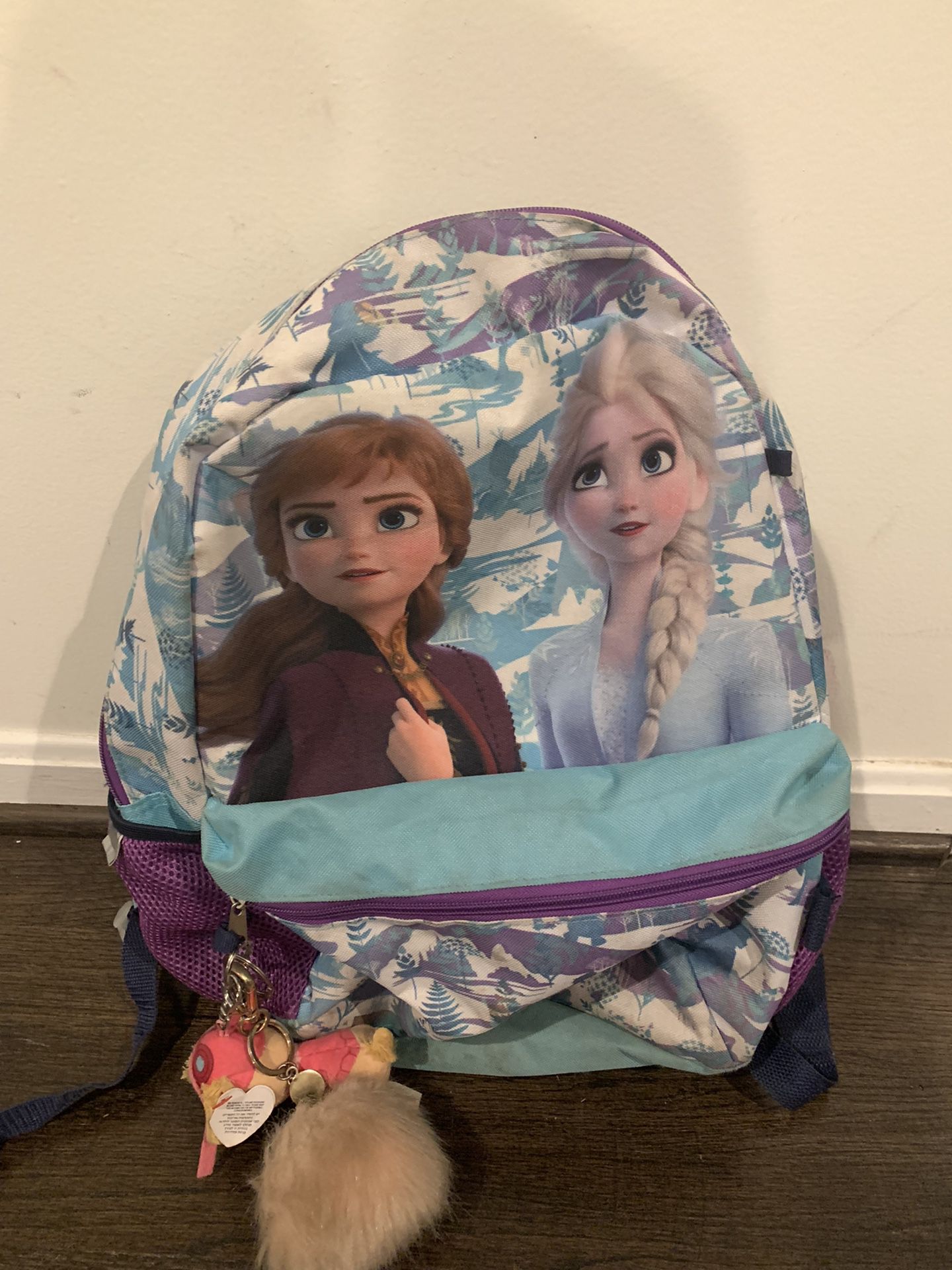Frozen Backpack 
